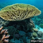 지부티와 홍해 지역의 해양 생태학 - A vibrant underwater scene showcasing the unique biodiversity of Djibouti’s coastal waters in the Re...